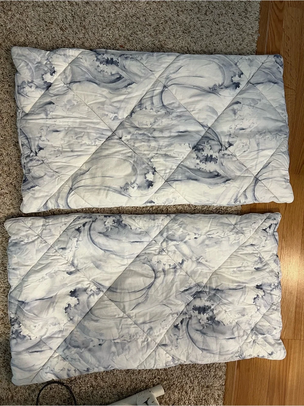 Pottery Barn King Jardin Toile Comforter Shams set of 2; 36